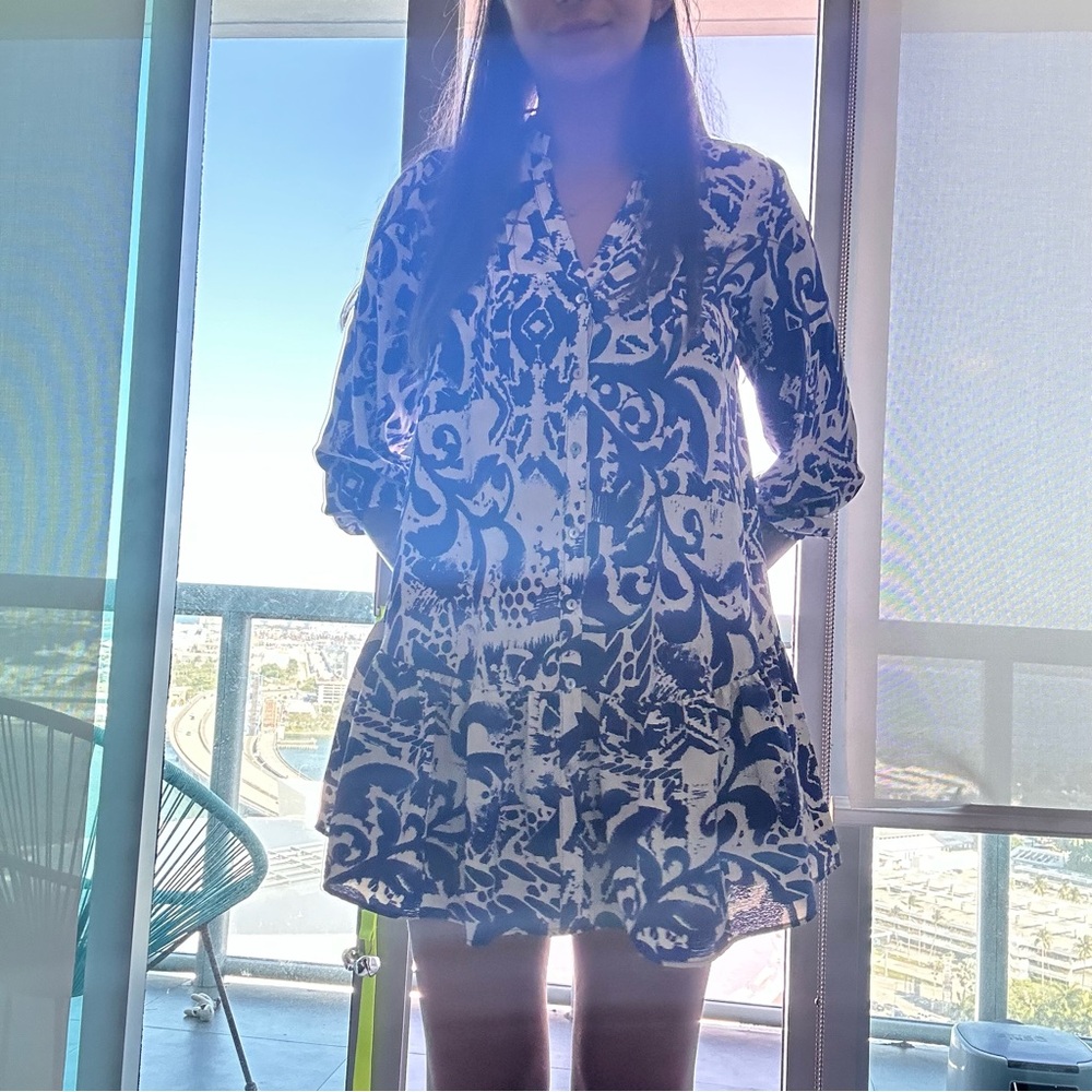 Zara Blue and White Long Sleeve Dress